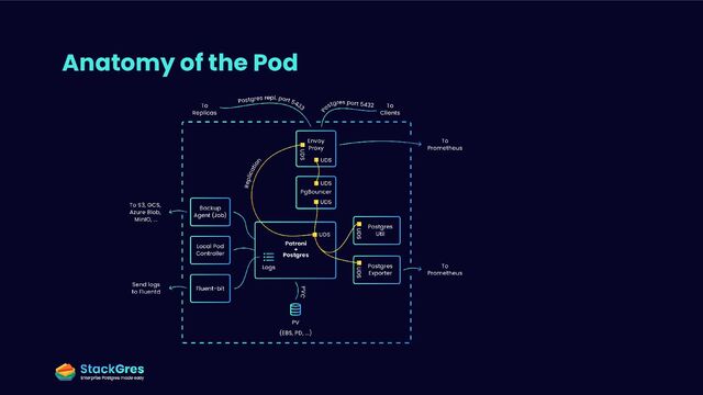 Anatomy of the Pod
