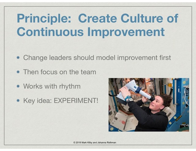Principle: Create Culture of
Continuous Improvement
Change leaders should model improvement ﬁrst

Then focus on the team

Works with rhythm

Key idea: EXPERIMENT!
© 2018 Mark Kilby and Johanna Rothman

