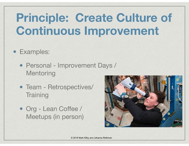 Principle: Create Culture of
Continuous Improvement
© 2018 Mark Kilby and Johanna Rothman
Examples:

Personal - Improvement Days /
Mentoring

Team - Retrospectives/  
Training 

Org - Lean Coﬀee / 
Meetups (in person)
