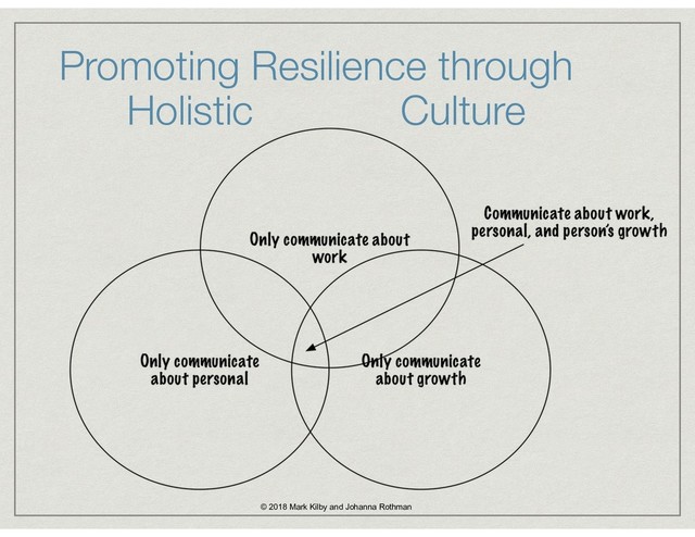 Promoting Resilience through
Holistic Culture
© 2018 Mark Kilby and Johanna Rothman
