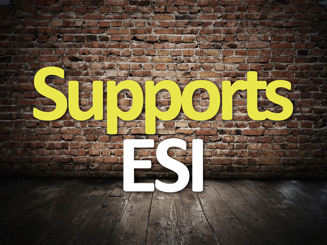 Supports	  
ESI
