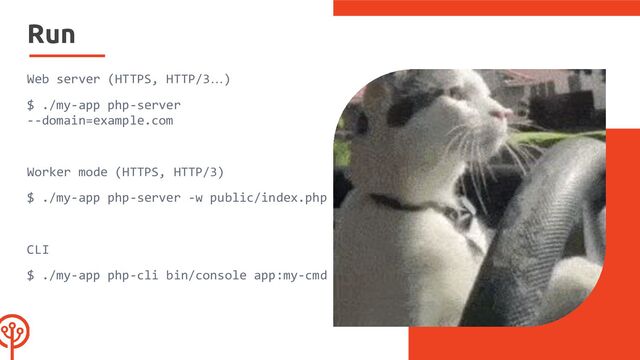 Run
Web server (HTTPS, HTTP/3…)
$ ./my-app php-server
--domain=example.com
Worker mode (HTTPS, HTTP/3)
$ ./my-app php-server -w public/index.php
CLI
$ ./my-app php-cli bin/console app:my-cmd
