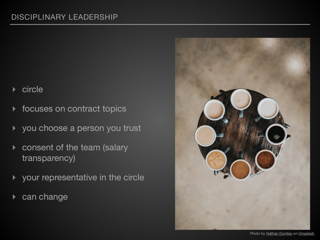 DISCIPLINARY LEADERSHIP
▸ circle 

▸ focuses on contract topics

▸ you choose a person you trust

▸ consent of the team (salary
transparency)

▸ your representative in the circle

▸ can change
Photo by Nathan Dumlao on Unsplash
