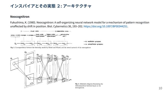 インスパイアとその実態 ２: アーキテクチャ
Neocognitron
Fukushima, K. (1980). Neocognitron: A self-organizing neural network model for a mechanism of pattern recognition
unaffected by shift in position. Biol. Cybernetics 36, 193–202. https://doi.org/10.1007/BF00344251.
10
