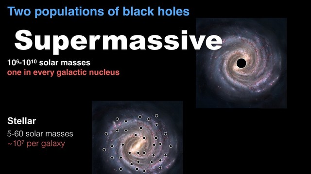 Two populations of black holes
Supermassive
106-1010 solar masses
one in every galactic nucleus
5-60 solar masses
~107 per galaxy
Stellar
