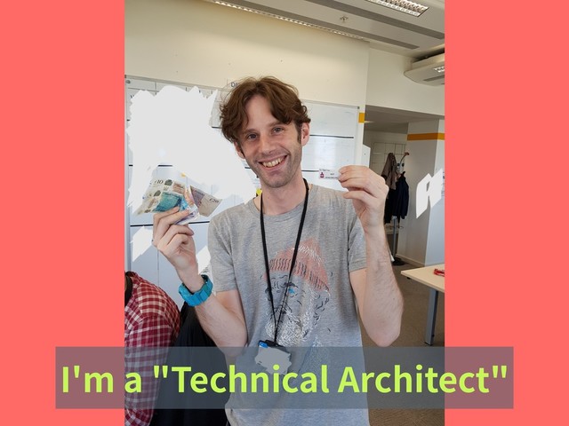 I'm a "Technical Architect"
