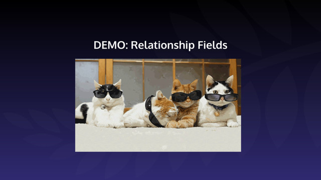 DEMO: Relationship Fields
