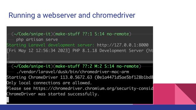 Running a webserver and chromedriver
