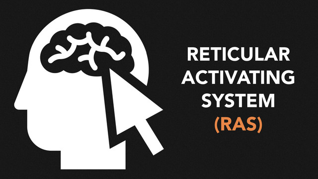 RETICULAR
ACTIVATING
SYSTEM
(RAS)

