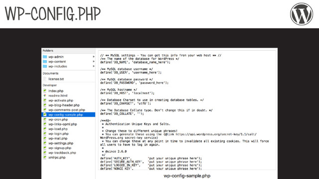 WP-CONFIG.PHP
