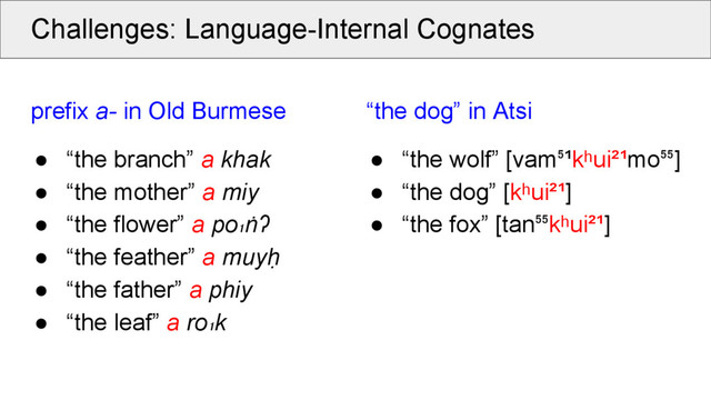 Challenges: Language-Internal Cognates
prefix a- in Old Burmese
● “the branch” a khak
● “the mother” a miy
● “the flower” a po₁ṅʔ
● “the feather” a muyḥ
● “the father” a phiy
● “the leaf” a ro₁k
“the dog” in Atsi
● “the wolf” [vam ¹kʰui²¹mo ]
● “the dog” [kʰui²¹]
● “the fox” [tan kʰui²¹]
