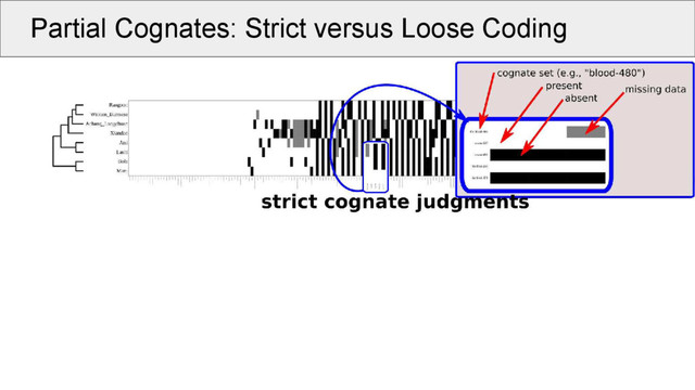 Partial Cognates: Strict versus Loose Coding
