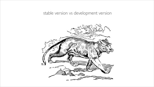stable version vs development version
