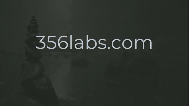 356labs.com
