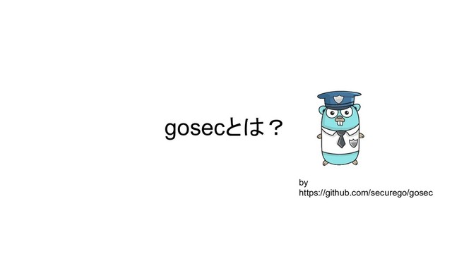 gosecとは？
by
https://github.com/securego/gosec
