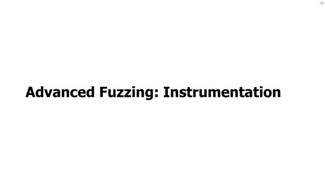 13
Advanced Fuzzing: Instrumentation
