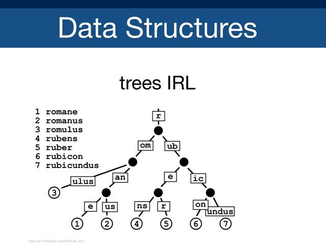 Data Structures
trees IRL

https://en.wikipedia.org/wiki/Radix_tree
