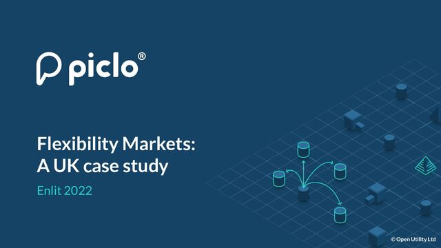 © Open Utility Ltd
Enlit 2022
Flexibility Markets:
A UK case study
