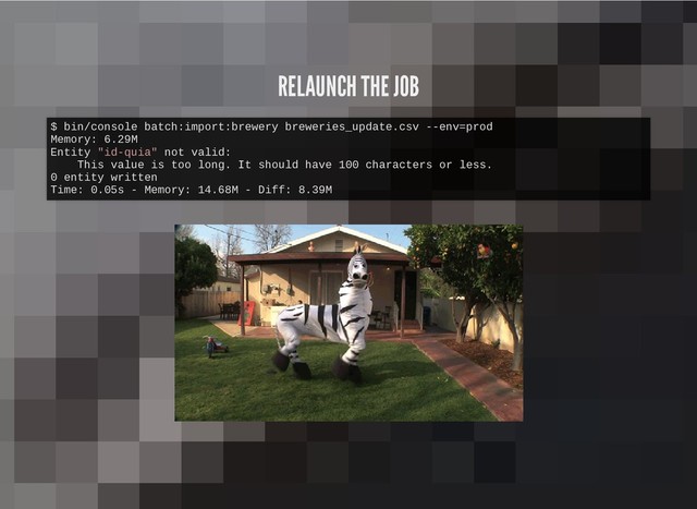 RELAUNCH THE JOB
RELAUNCH THE JOB
$ bin/console batch:import:brewery breweries_update.csv --env=prod
Memory: 6.29M
Entity "id-quia" not valid:
This value is too long. It should have 100 characters or less.
0 entity written
Time: 0.05s - Memory: 14.68M - Diff: 8.39M
