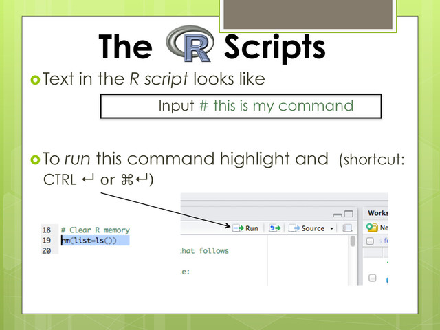  Text in the R script looks like
Input # this is my command
 To run this command highlight and (shortcut:
CTRL ↵ or ⌘↵)
The Scripts
