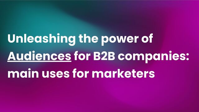 Unleashing the power of
Audiences for B2B companies:
main uses for marketers
