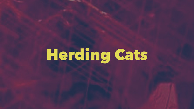 Herding Cats
