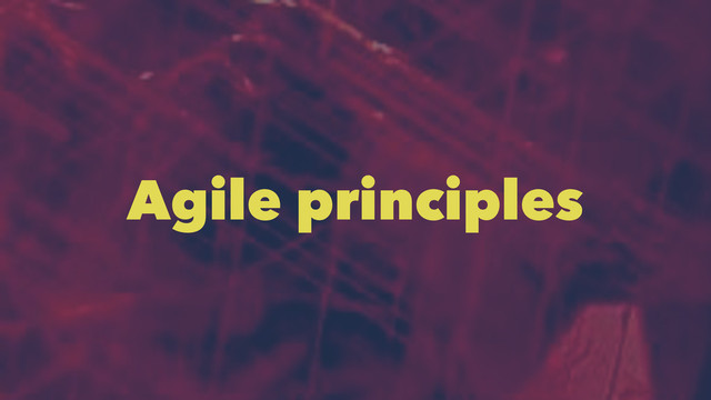 Agile principles
