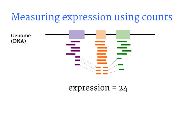expression = 24
Genome
(DNA)
Measuring expression using counts
