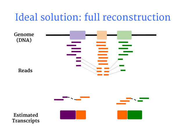 Ideal solution: full reconstruction
Reads
Estimated
Transcripts
Genome
(DNA)
