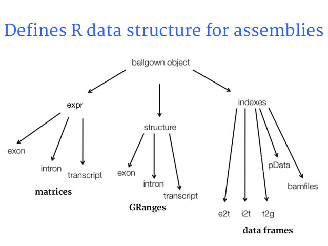 Defines R data structure for assemblies
expr
matrices
GRanges
data frames
