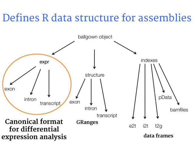 Defines R data structure for assemblies
expr
GRanges
data frames
Canonical format
for differential
expression analysis
