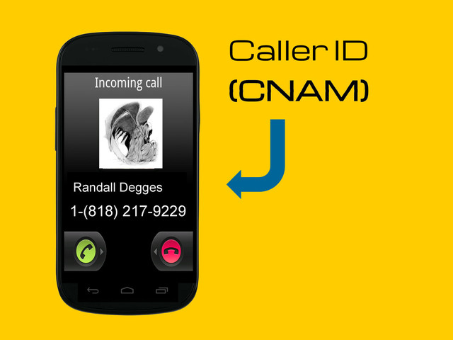 Caller ID
(CNAM)
1-(818) 217-9229
Randall Degges
