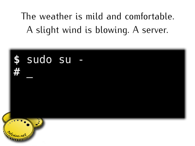 e weather is mild and comfortable.
A slight wind is blowing. A server.
$ sudo su -
# _
