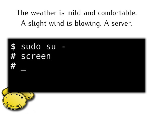 e weather is mild and comfortable.
A slight wind is blowing. A server.
$ sudo su -
# screen
# _
