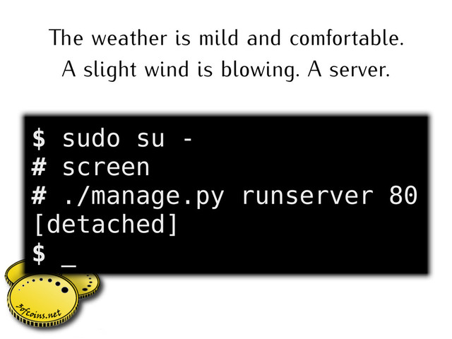 e weather is mild and comfortable.
A slight wind is blowing. A server.
$ sudo su -
# screen
# ./manage.py runserver 80
[detached]
$ _
