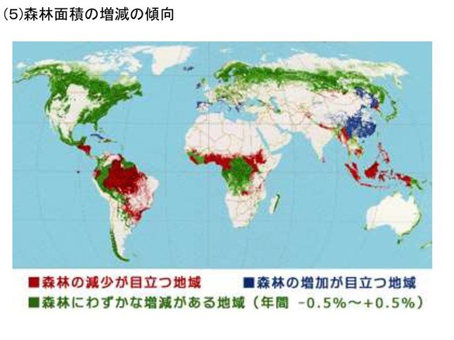 (５)森林面積の増減の傾向
