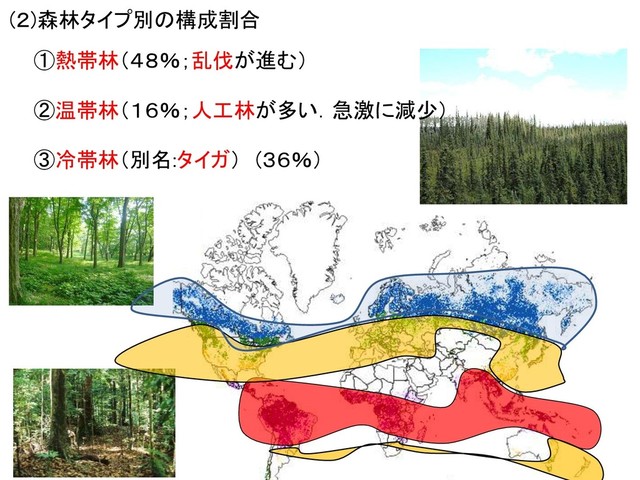 (２)森林タイプ別の構成割合
①熱帯林（４８％；乱伐が進む）
②温帯林（１６％；人工林が多い．急激に減少）
③冷帯林（別名:タイガ） (３６％）
