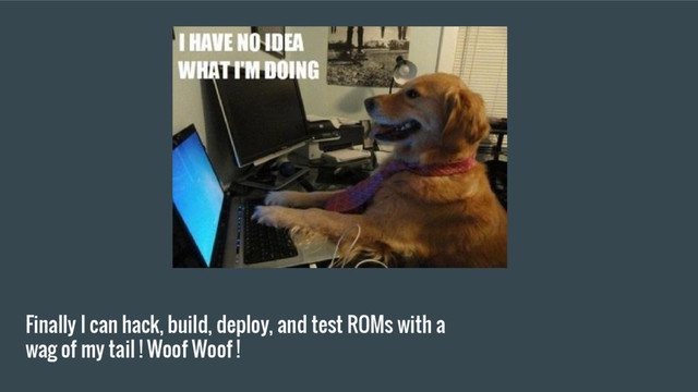 Finally I can hack, build, deploy, and test ROMs with a
wag of my tail ! Woof Woof !
