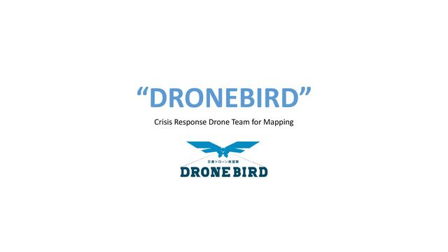 “DRONEBIRD”


Crisis Response Drone Team for Mapping
