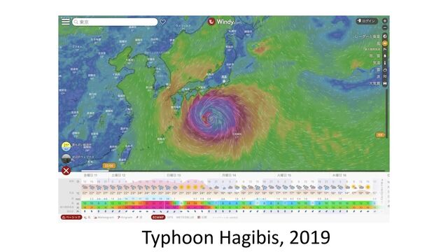 Typhoon Hagibis, 2019
