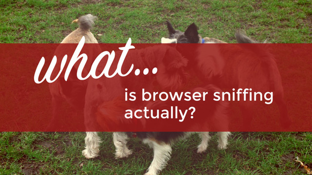 is browser sniffing  
actually?
what…

