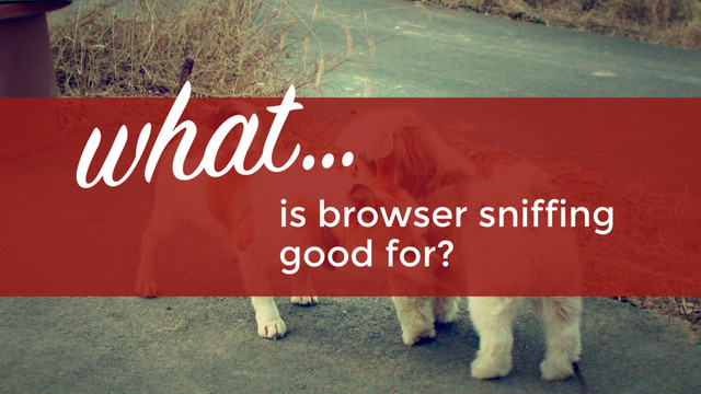 is browser sniffing  
good for?
what…
