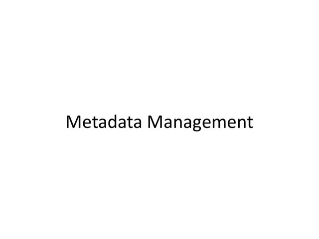 Metadata Management
