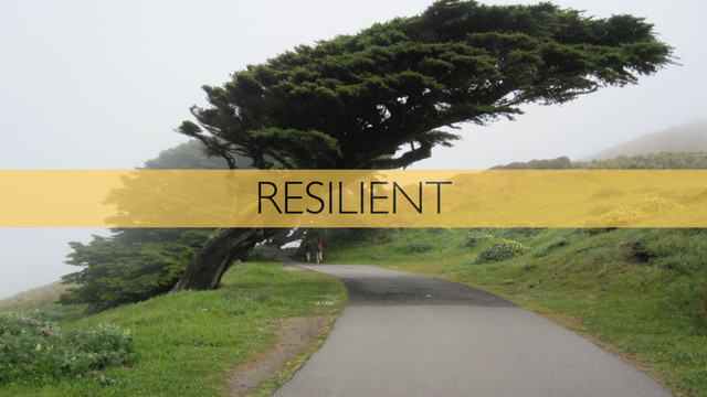 RESILIENT
