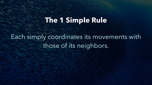 Each simply coordinates its movements with
those of its neighbors.
The 1 Simple Rule
