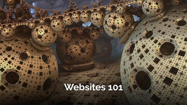 Websites 101
