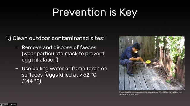 Prevention is Key
1.) Clean outdoor contaminated sites6
– Remove and dispose of faeces
(wear particulate mask to prevent
egg inhalation)
– Use boiling water or flame torch on
surfaces (eggs killed at > 62 °C
/144 °F)
Photo: healthinspectorsnotebook.blogspot.com/2015/05/urban-wildlife-pet-
diseases-that-can.html

