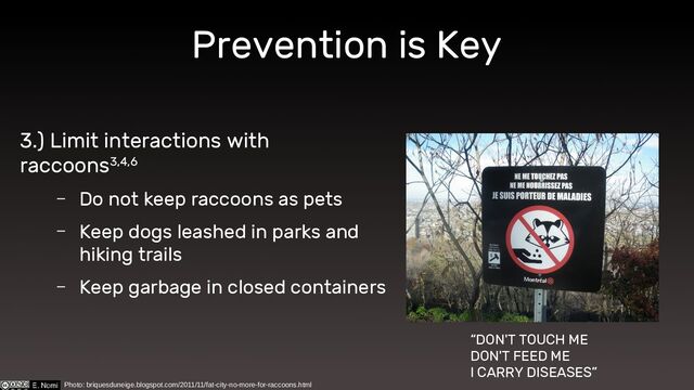 Prevention is Key
3.) Limit interactions with
raccoons3,4,6
– Do not keep raccoons as pets
– Keep dogs leashed in parks and
hiking trails
– Keep garbage in closed containers
Photo: briquesduneige.blogspot.com/2011/11/fat-city-no-more-for-raccoons.html
“DON'T TOUCH ME
DON'T FEED ME
I CARRY DISEASES”
