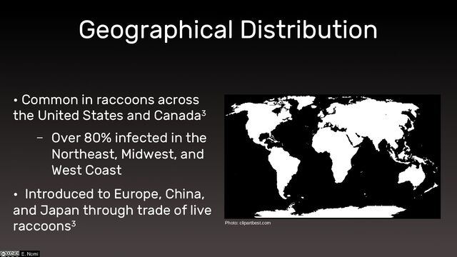 Geographical Distribution
• Common in raccoons across
the United States and Canada3
– Over 80% infected in the
Northeast, Midwest, and
West Coast
• Introduced to Europe, China,
and Japan through trade of live
raccoons3 Photo: clipartbest.com
