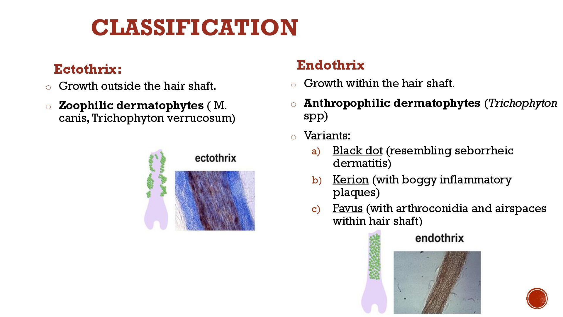 1._SKIN_DISEASES_IN_CHILDHOOD_template_2025_copy.pdf - Speaker Deck